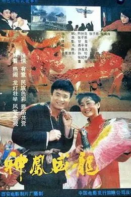 神凤威龙封面图