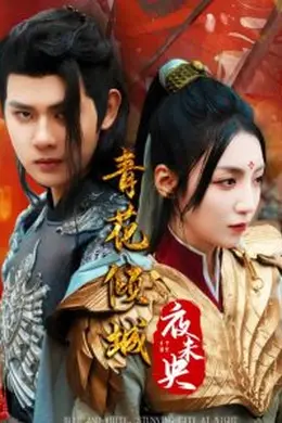 青花倾城夜未央海报图片