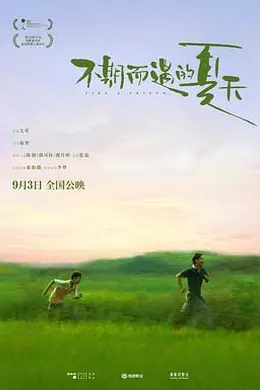 不期而遇的夏天封面图