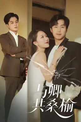 与卿共桑榆海报图片