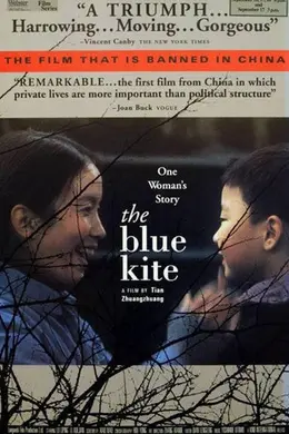 蓝风筝封面图