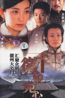 徽娘宛心封面图