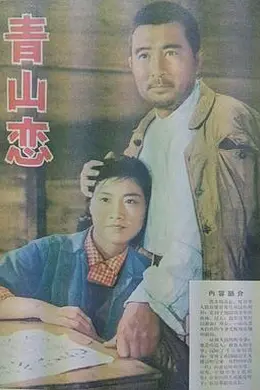 青山恋封面图