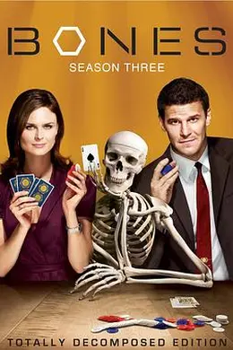 识骨寻踪第三季封面图