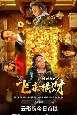飞来横财 2024封面图