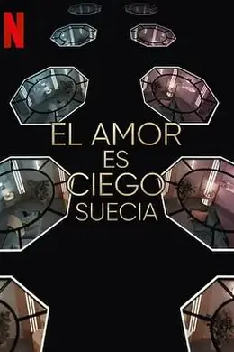 爱情盲选：瑞典篇第三季封面图