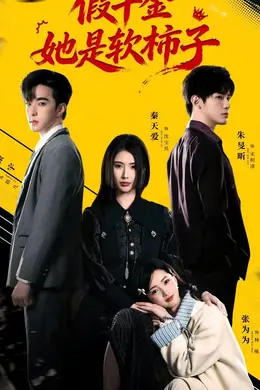 假千金她是软柿子海报图片