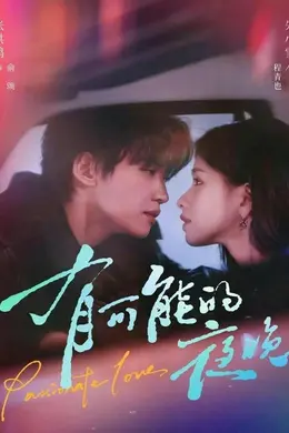 有可能的夜晚海报图片