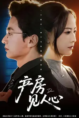 产房见人心海报图片