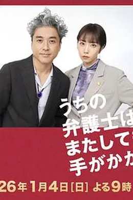 我家的律师又惹麻烦了封面图