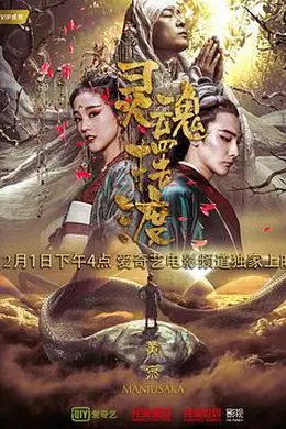 灵魂摆渡黄泉封面图