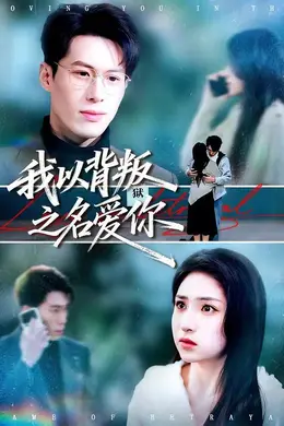 我以背叛之名爱你海报图片