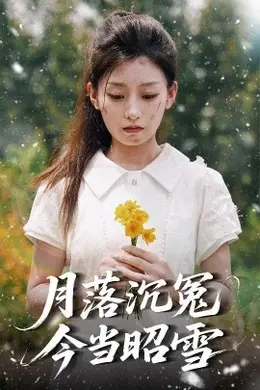 月落沉冤今当昭雪海报图片