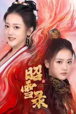 昭雪录海报图片