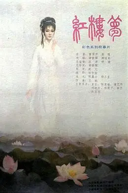 红楼梦第六部：宝玉化石封面图