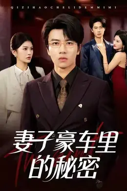 妻子豪车里的秘密海报图片