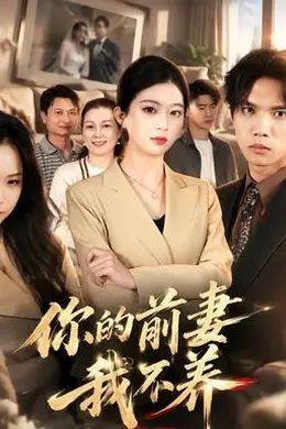 你的前妻我不养海报图片
