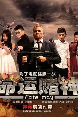 命运赌神封面图