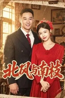 北风与南枝封面图