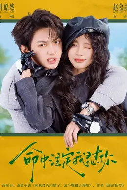 命中注定我怼你封面图