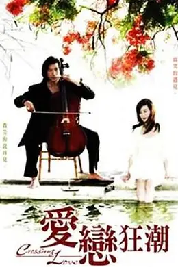 爱恋狂潮封面图