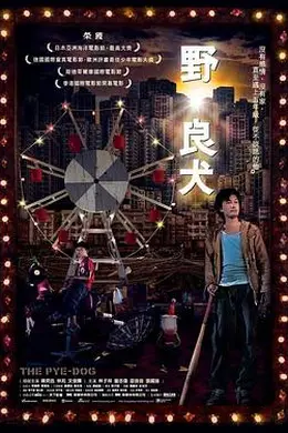 野良犬国语封面图