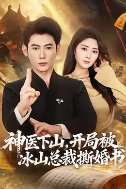 神医下山，开局被冰山总裁撕婚书海报图片