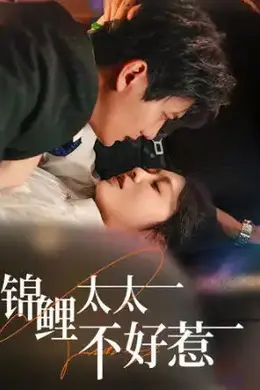 锦鲤太太不好惹海报图片