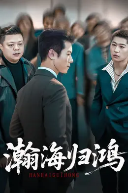 瀚海归鸿封面图