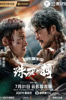 殊死一搏封面图