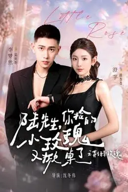 陆先生，你捡的小玫瑰又掀桌了之荆棘玫瑰海报图片