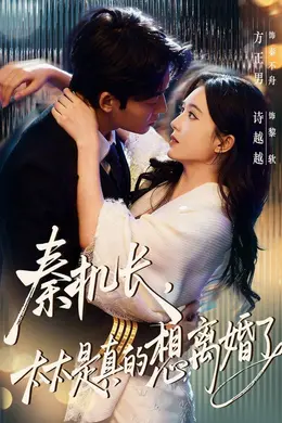 秦机长，太太是真的想离婚了海报图片