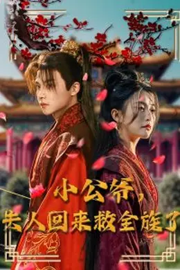 小公爷夫人回来救全族了海报图片