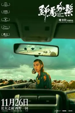 野马分鬃封面图