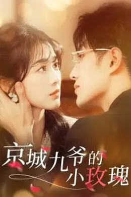 京城九爷的小玫瑰海报图片