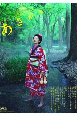 阿浅来了封面图