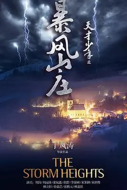天才少年之暴风山庄海报图片