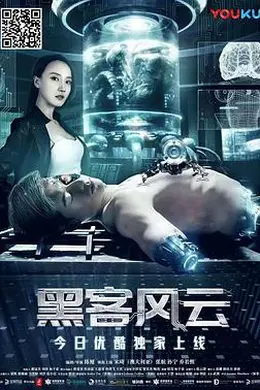 黑客风云封面图