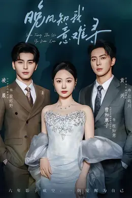 晚风知我意难寻海报图片