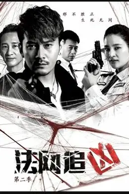 法网追凶第二季封面图