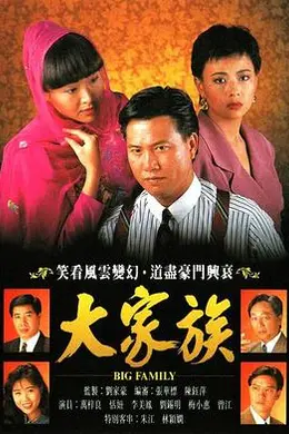 大家族国语海报图片