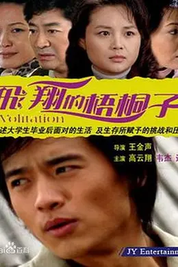 飞翔的梧桐子封面图