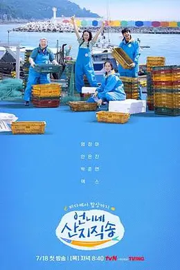 姐姐家的产地直送海报图片