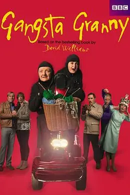 了不起的大盗奶奶封面图