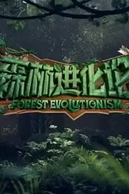 森林进化论封面图