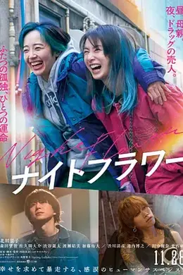 午夜之花封面图