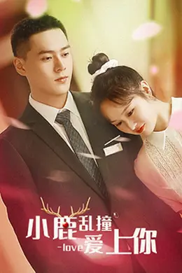 小鹿乱撞爱上你封面图