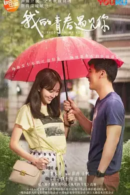 我的青春遇见你封面图