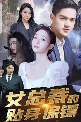 女总裁的全能赘婿海报图片