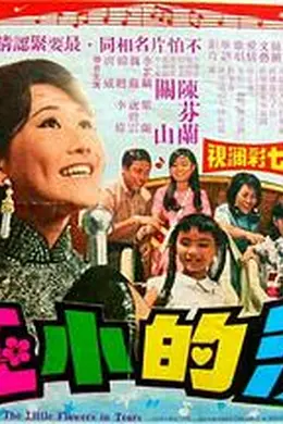 泪的小花封面图